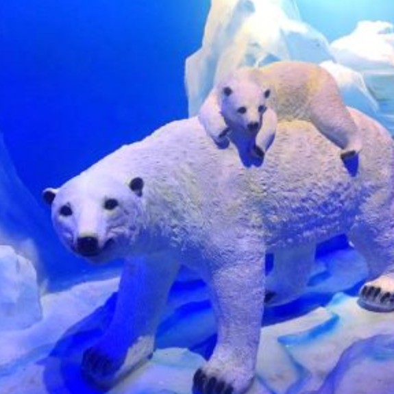 瀘定水族店，瀘定有水族店嗎