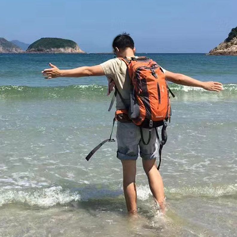 海洋館什么意思，《海洋館什么意思》