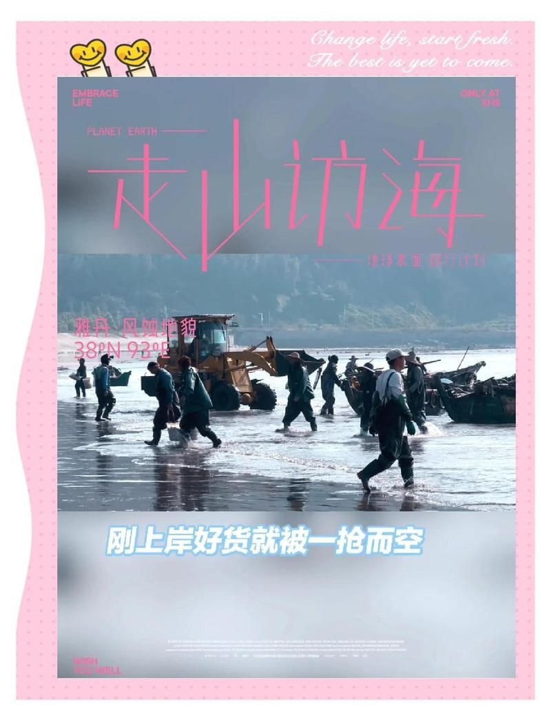 茂名水族批發市場，廣東茂名水族批發市場