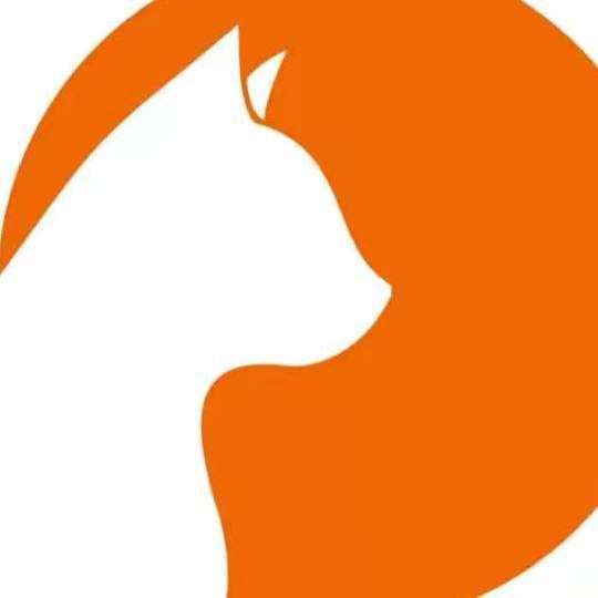 紅龍魚苗2-3厘米的圖片，2-3厘米的紅龍魚苗圖片