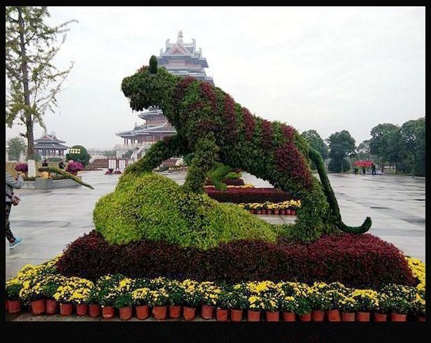 綠色老虎雕塑，曬你與虎跑公園的老照片杭州日報曬你與虎跑公園的老照片