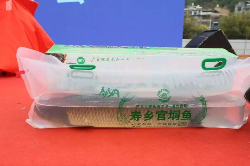 浦北縣龍魚店，浦北縣有哪些知名的龍魚店