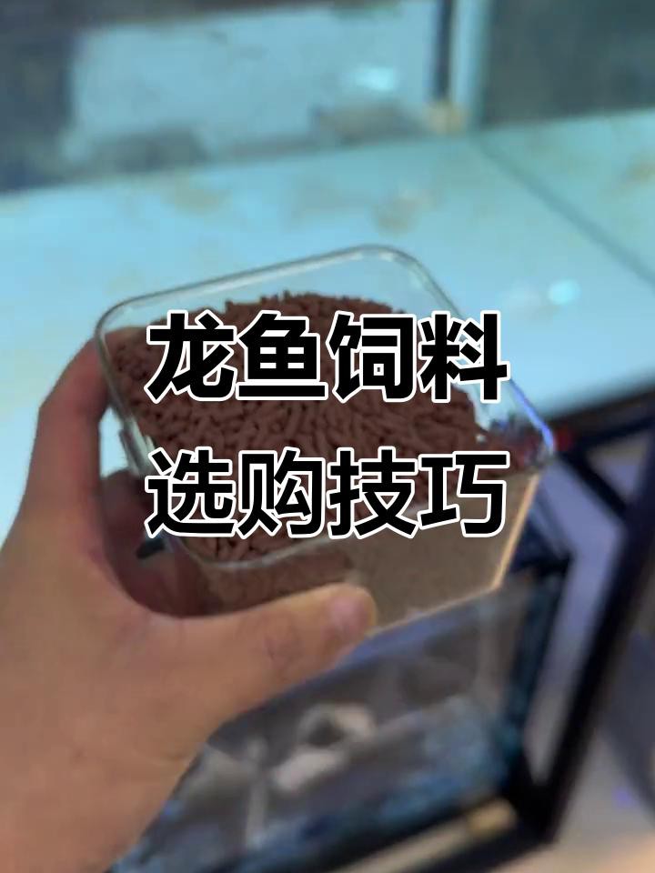 如何選擇安全的龍魚飼料？，龍魚飼料排行榜前十名澳味轟轟羊金龍紅龍的飼料秘密