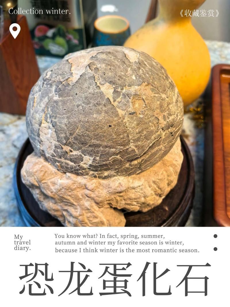 恐龍蛋真品圖片，世界上最珍貴的品種——恐龍蛋化石