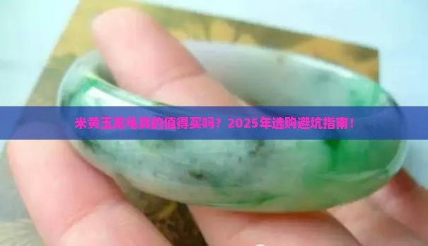 買龍龜?shù)氖笾腋妫竟?jié)購買龍龜?shù)氖笾腋? title=
