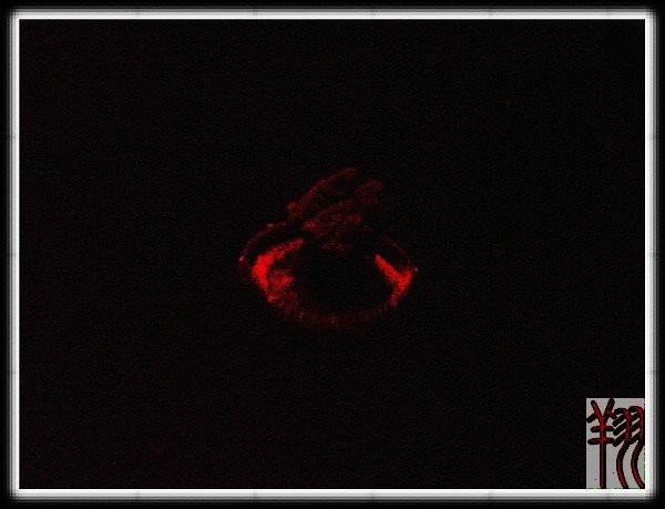 禹會水族店，禹會水族店地址在哪里