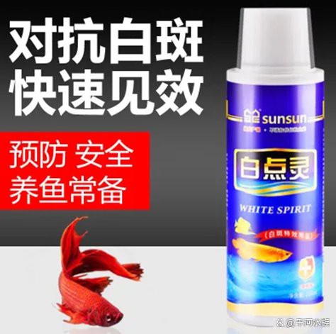 十大名牌硝化細菌排行，京東硝化細菌品牌排行榜京東硝化細菌品牌排行榜京東硝化細菌品牌排行榜