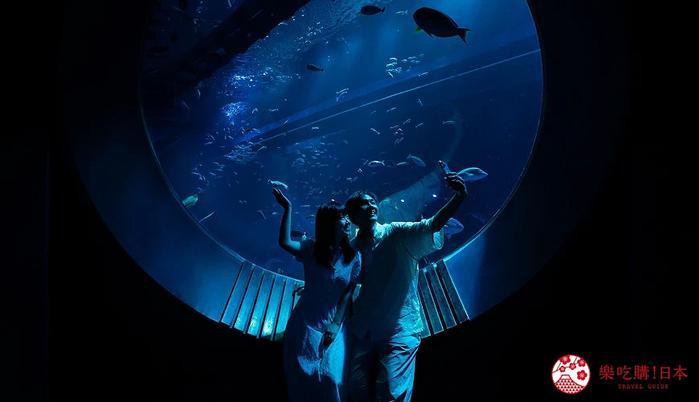 希拉穆水族店，佛山希拉穆水族店