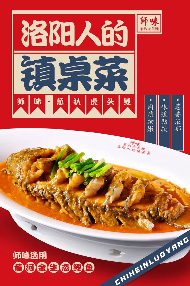 洛陽龍魚店，如何挑選高品質的洛陽龍魚店