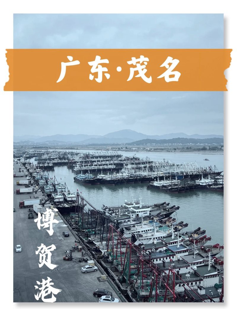 全國(guó)十大漁港名單，2018中國(guó)十大漁港巡禮
