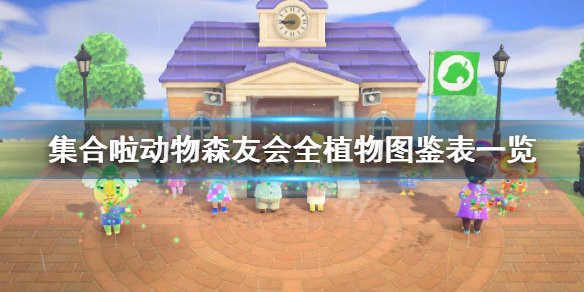 動森價目表，《集合啦動物森友會》全品類物價體系統梳理2025年8月最新版本
