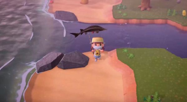 動森價目表，《集合啦動物森友會》全品類物價體系統梳理2025年8月最新版本