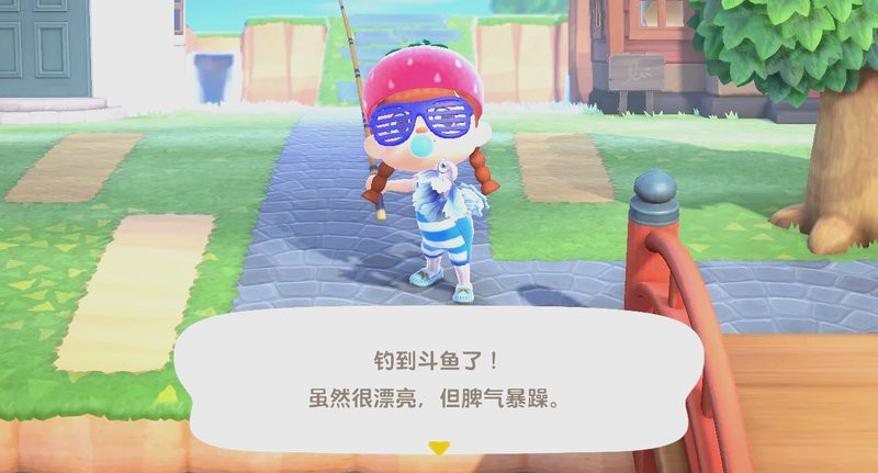 動森香魚多少錢一只，《動物森友會》香魚價格是多少