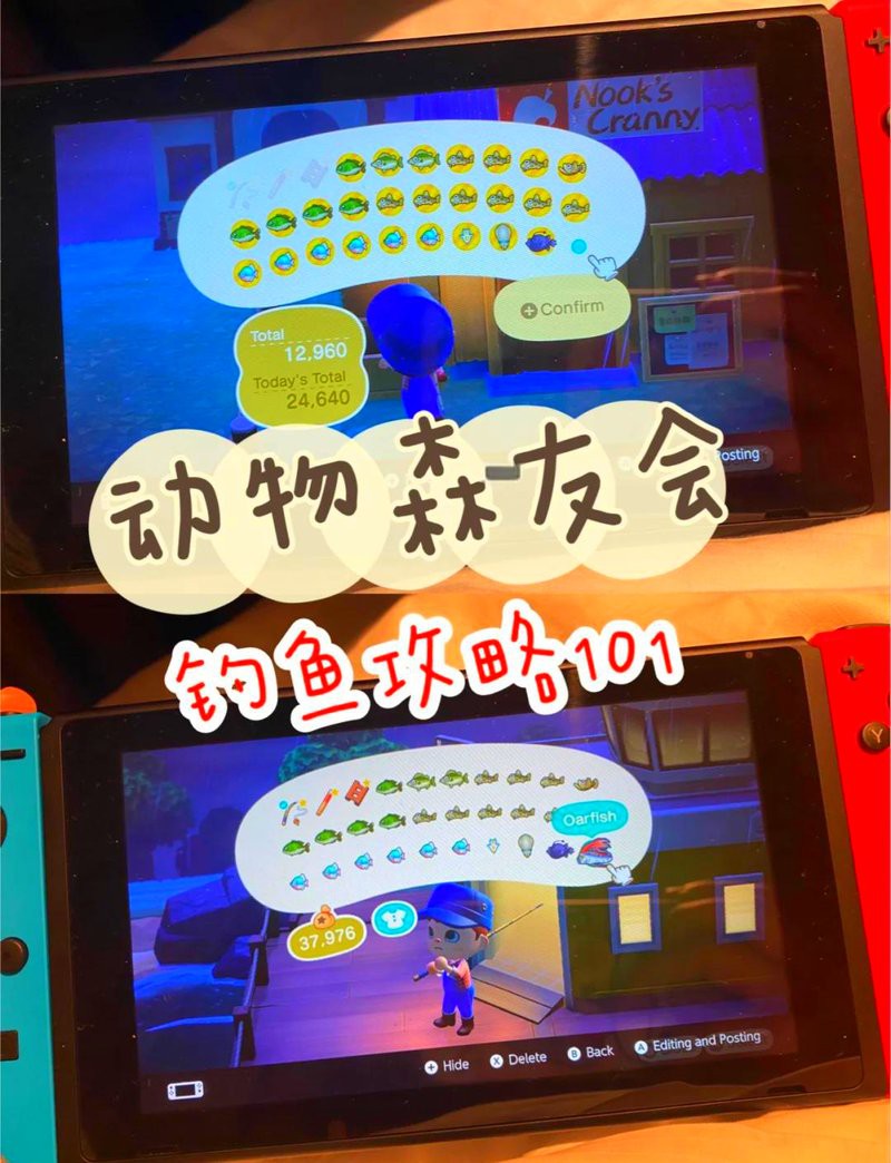 動森香魚多少錢一只，《動物森友會》香魚價格是多少