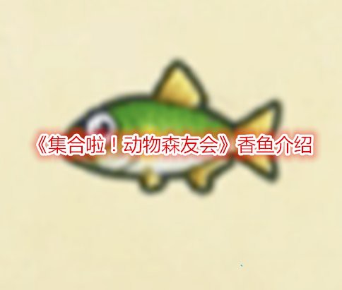 動森香魚多少錢一只，《動物森友會》香魚價格是多少