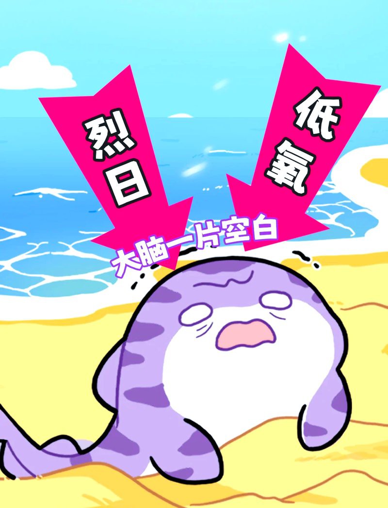 什么鯊魚最好養(yǎng)，新手養(yǎng)鯊魚應(yīng)該注意什么？