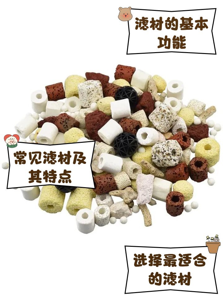 十大公認最好的濾材，水族養(yǎng)護領(lǐng)域十大公認的十大最佳濾材pm4