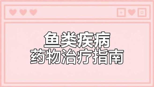 有哪些魚類專用腸炎藥物推薦？，魚類專用腸炎藥物推薦