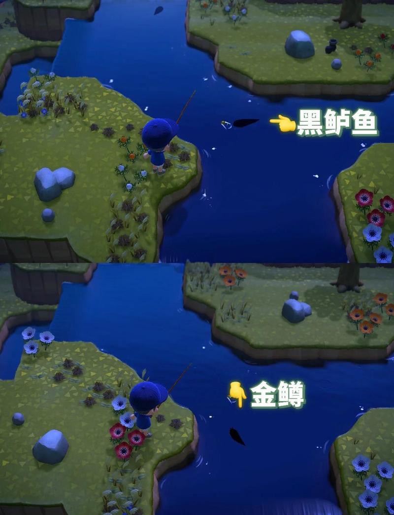 動森黃金河虎魚怎么刷，《動物森友會》黃金河虎刷取技巧 動森黃金河虎魚怎么刷，《動物森友會》黃金河虎刷取技巧 龍魚論壇 第4張