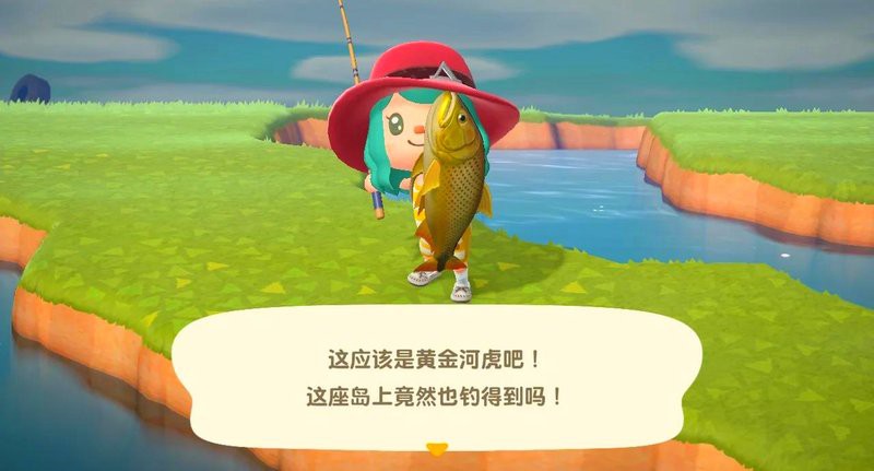 動森黃金河虎魚怎么刷，《動物森友會》黃金河虎刷取技巧 動森黃金河虎魚怎么刷，《動物森友會》黃金河虎刷取技巧 龍魚論壇 第3張