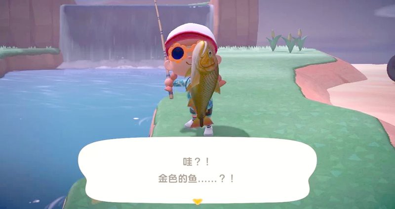 動森黃金河虎魚怎么刷，《動物森友會》黃金河虎刷取技巧 動森黃金河虎魚怎么刷，《動物森友會》黃金河虎刷取技巧 龍魚論壇 第1張