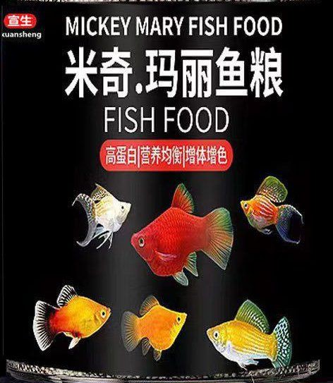 米奇魚為什么不建議養(yǎng)，為啥說別養(yǎng)米奇魚這些養(yǎng)殖真相得弄明白