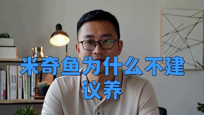 米奇魚為什么不建議養(yǎng)，為啥說別養(yǎng)米奇魚這些養(yǎng)殖真相得弄明白