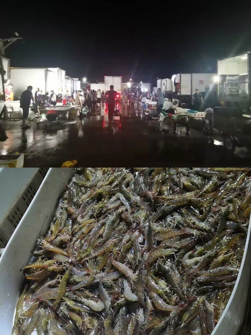 煙臺水族批發市場，煙臺水產品批發市場