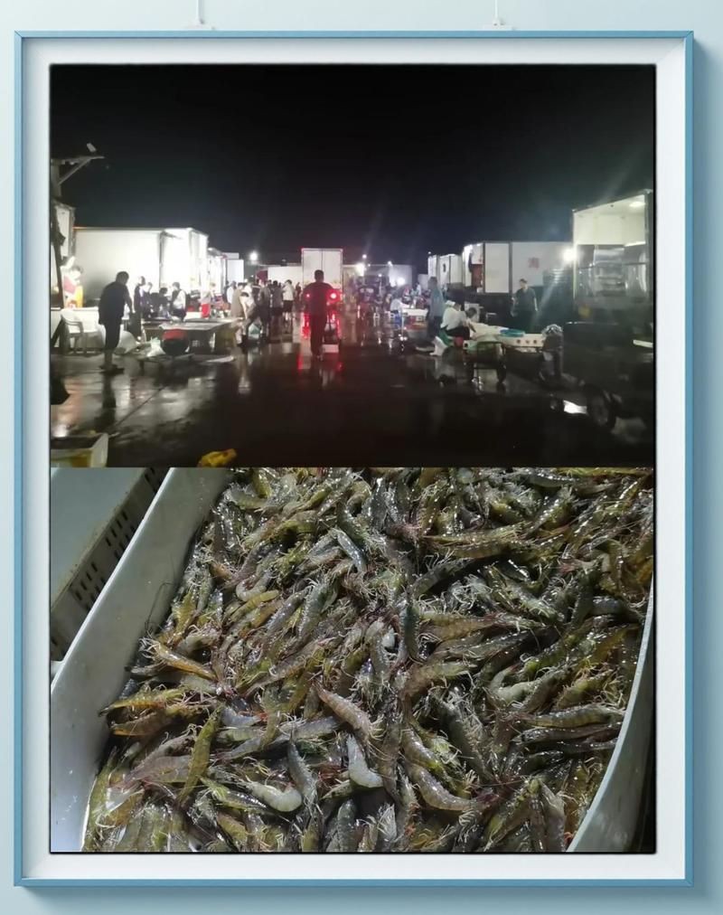 煙臺水族批發市場，煙臺水產品批發市場