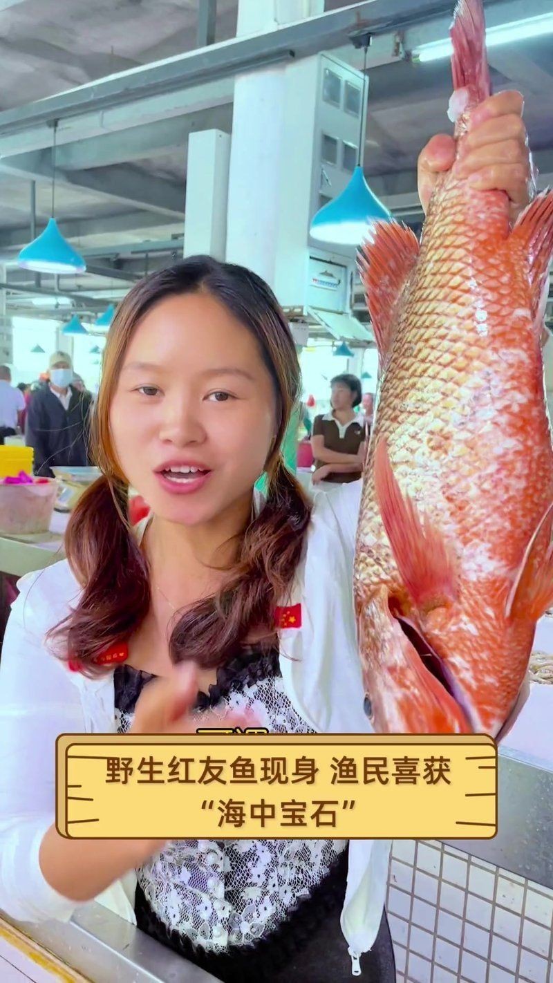 紅友魚圖片，紫紅笛鯛的營養價值與美味烹飪指南愛在星辰大海