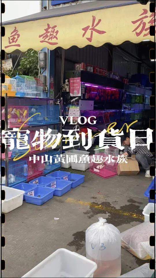 肅北水族店，肅北縣花地灣水族百貨店