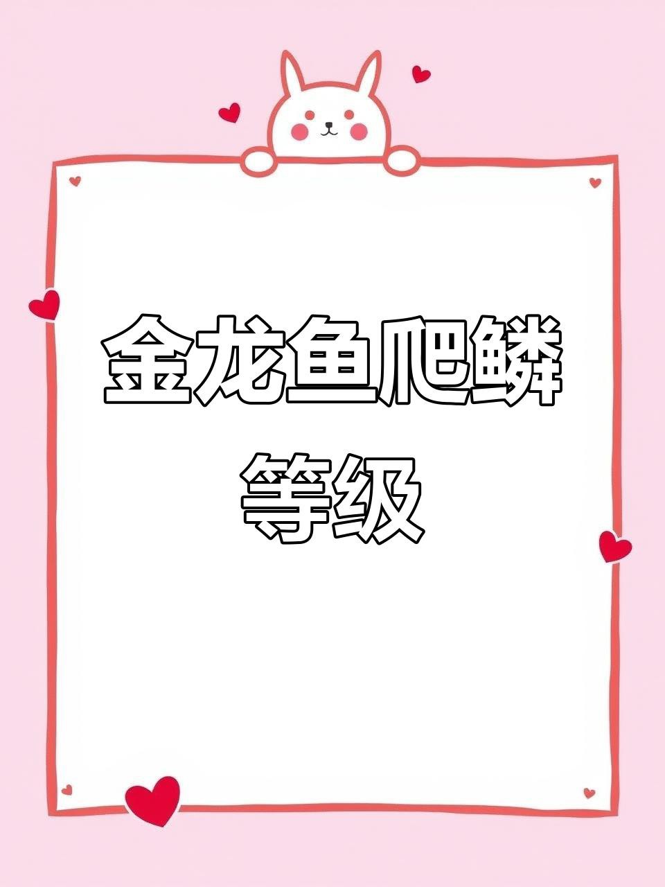 如何鑒賞金龍魚的品質(zhì)？，如何區(qū)分金龍魚品質(zhì)