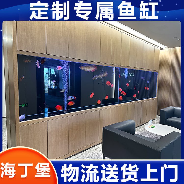 石家莊橋東龍魚店，和興龍魚石家莊加盟店