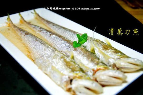 刀魚的最佳吃法，《刀魚的最佳吃法》刀魚的最佳吃法：清蒸刀魚的做法