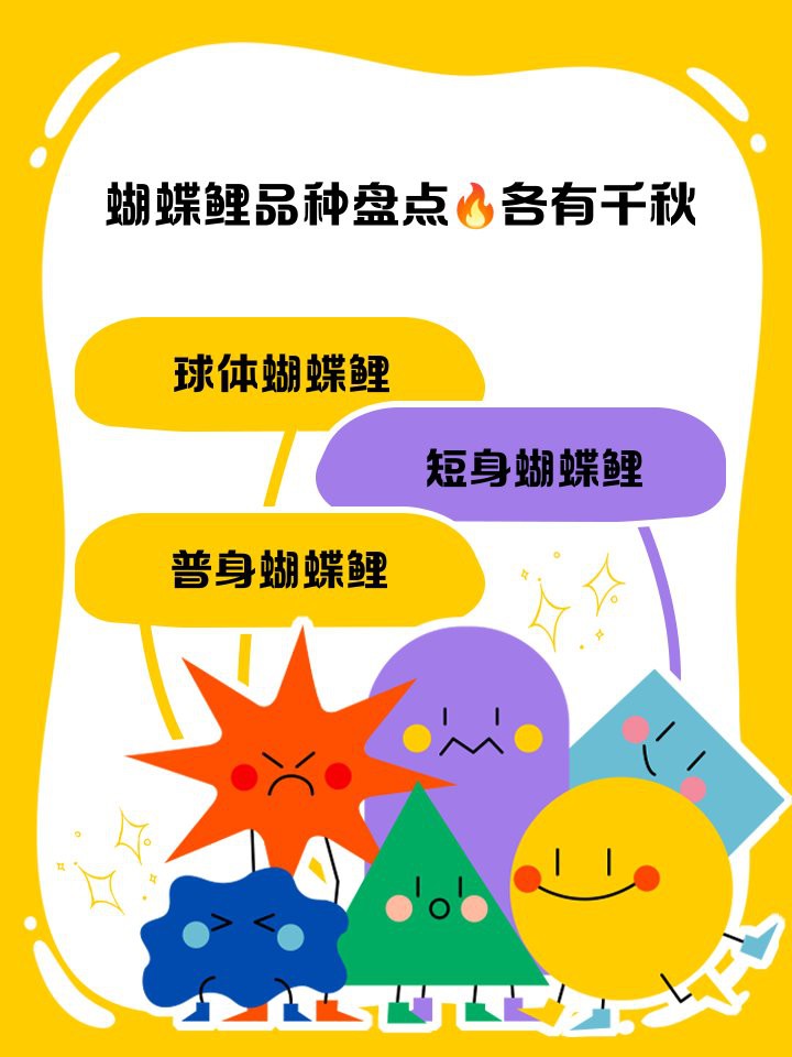 十大名貴蝴蝶鯉，十大名貴蝴蝶鯉的夢幻世界，蝴蝶鯉的夢幻世界