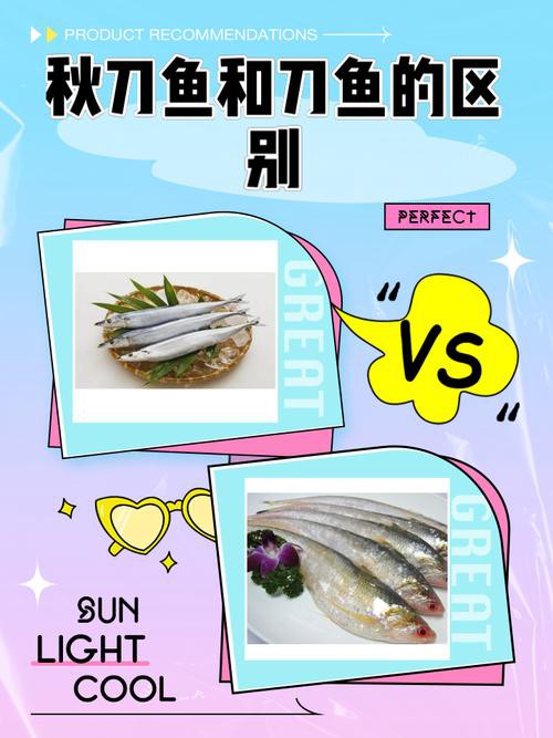 刀魚和毛刀魚圖片，刀魚與毛刀魚的區別