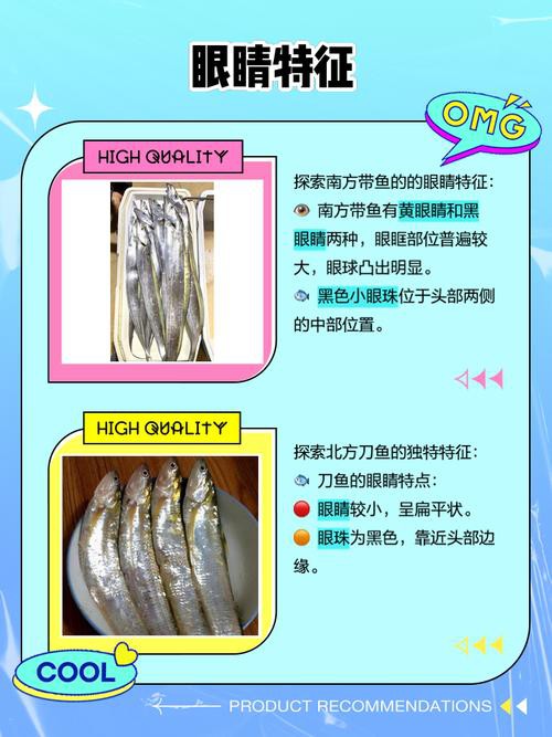 刀魚和毛刀魚圖片，刀魚與毛刀魚的區別