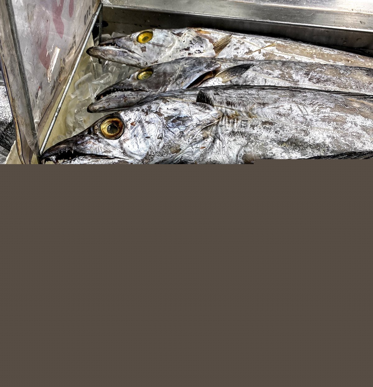 刀魚和帶魚哪個貴，刀魚與帶魚價格大揭秘,差異背后竟有這些原因