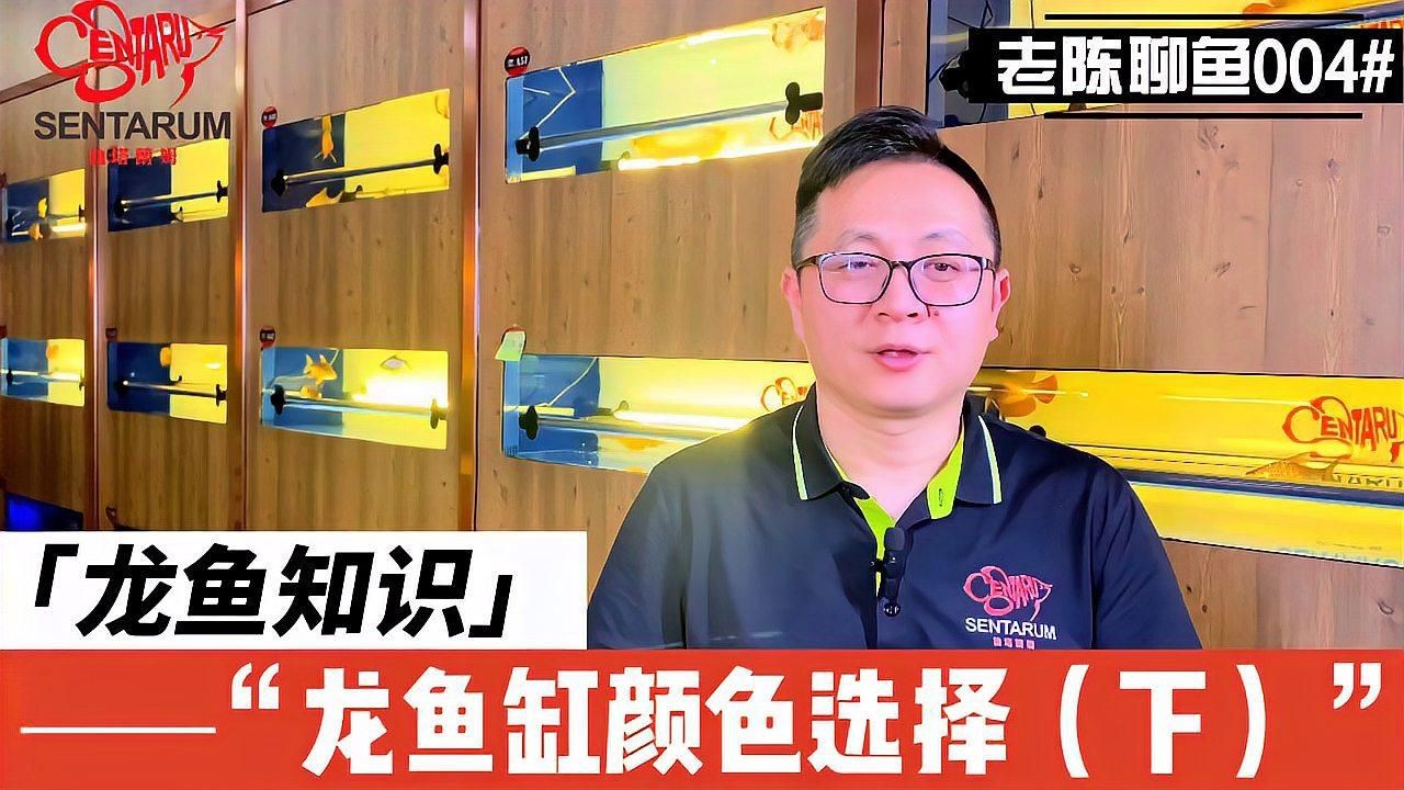 紅龍魚用什么背景最好發色，《紅龍魚用什么背景最好發色》