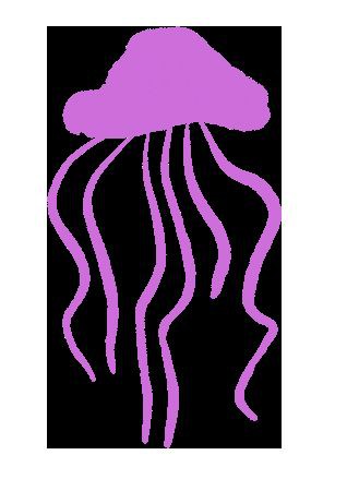 羅漢魚最好的品相，如何挑選羅漢魚？