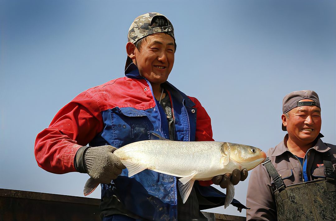 肇州龍魚店，肇州縣金之龍魚行開業