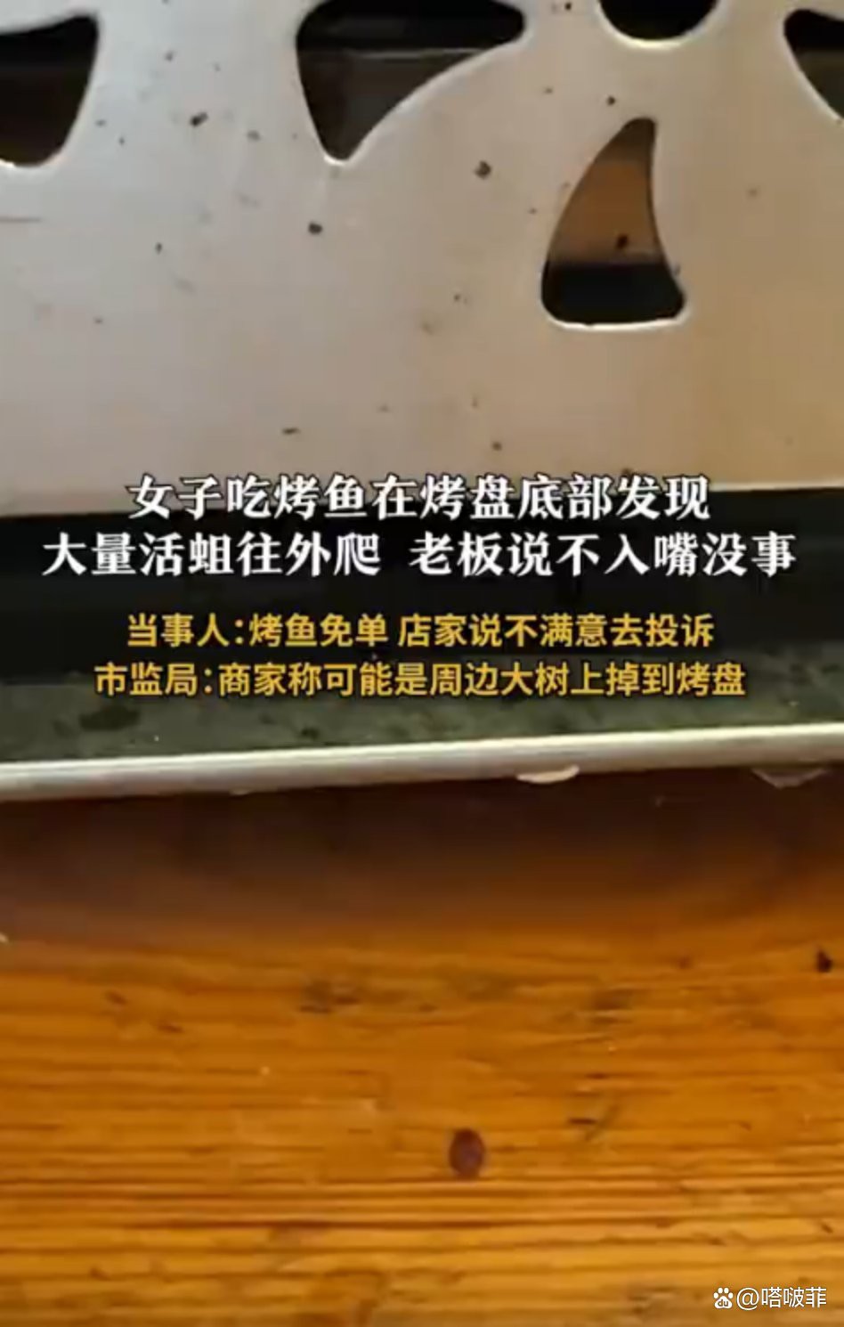 肇州龍魚店，肇州縣金之龍魚行開業