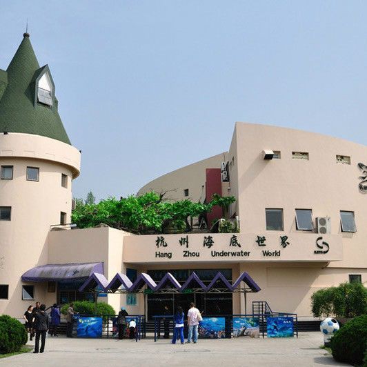 杭州水族店，杭州哪里有大型水族設備供應商