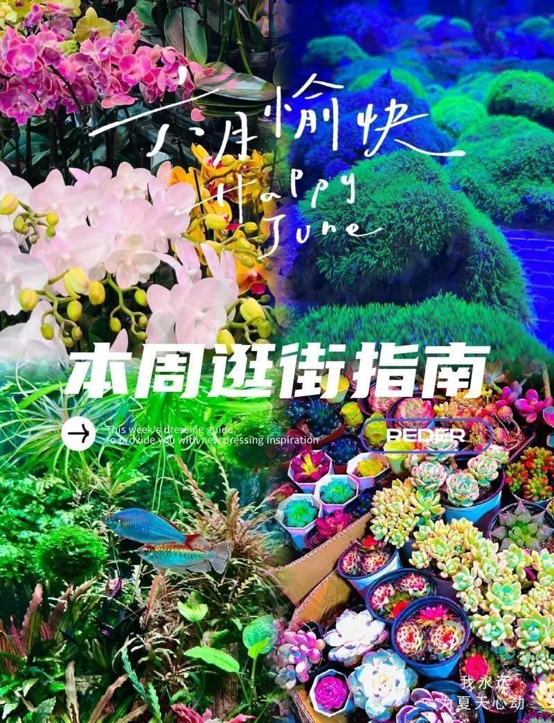 沈陽水族店，沈陽市鐵西區宏渤海水族經銷店打卡攜程旅行攜程旅行