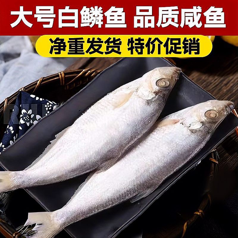 十大最建議買的水族，十大最值得擁有的水族藝術品牌\