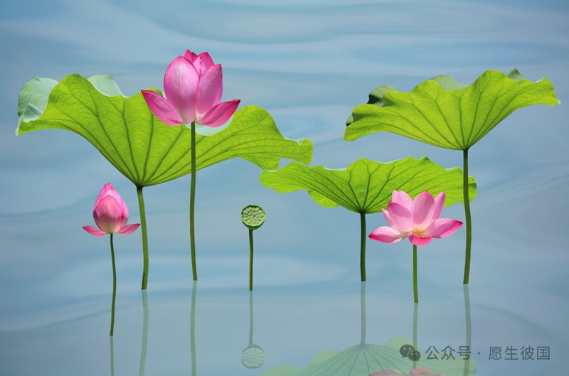 佛教吃蝦的果報，佛教:因果不虛,這3件事最損福報,不要再做了!