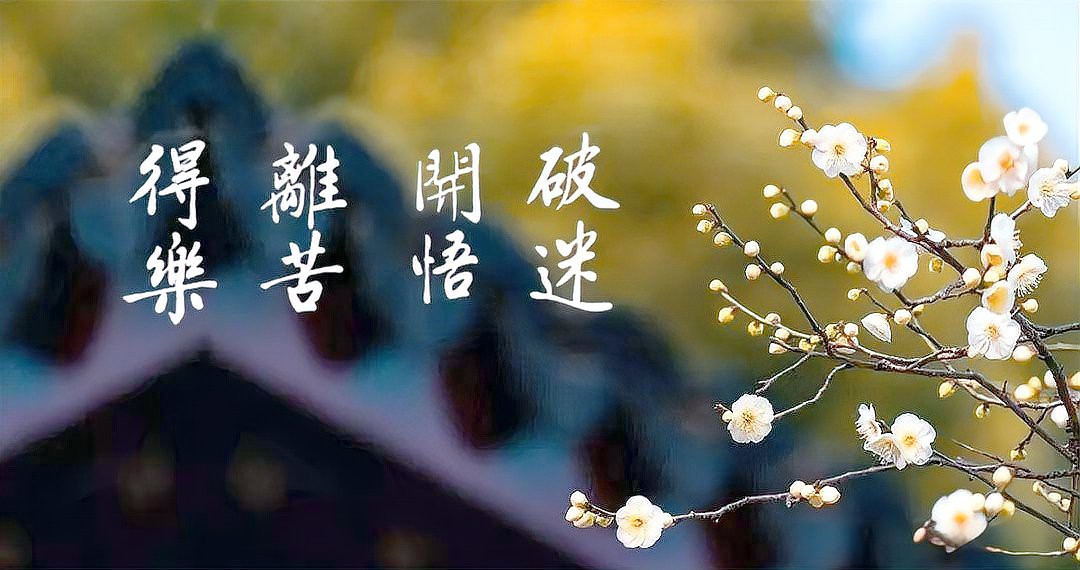 佛教吃蝦的果報，佛教:因果不虛,這3件事最損福報,不要再做了!