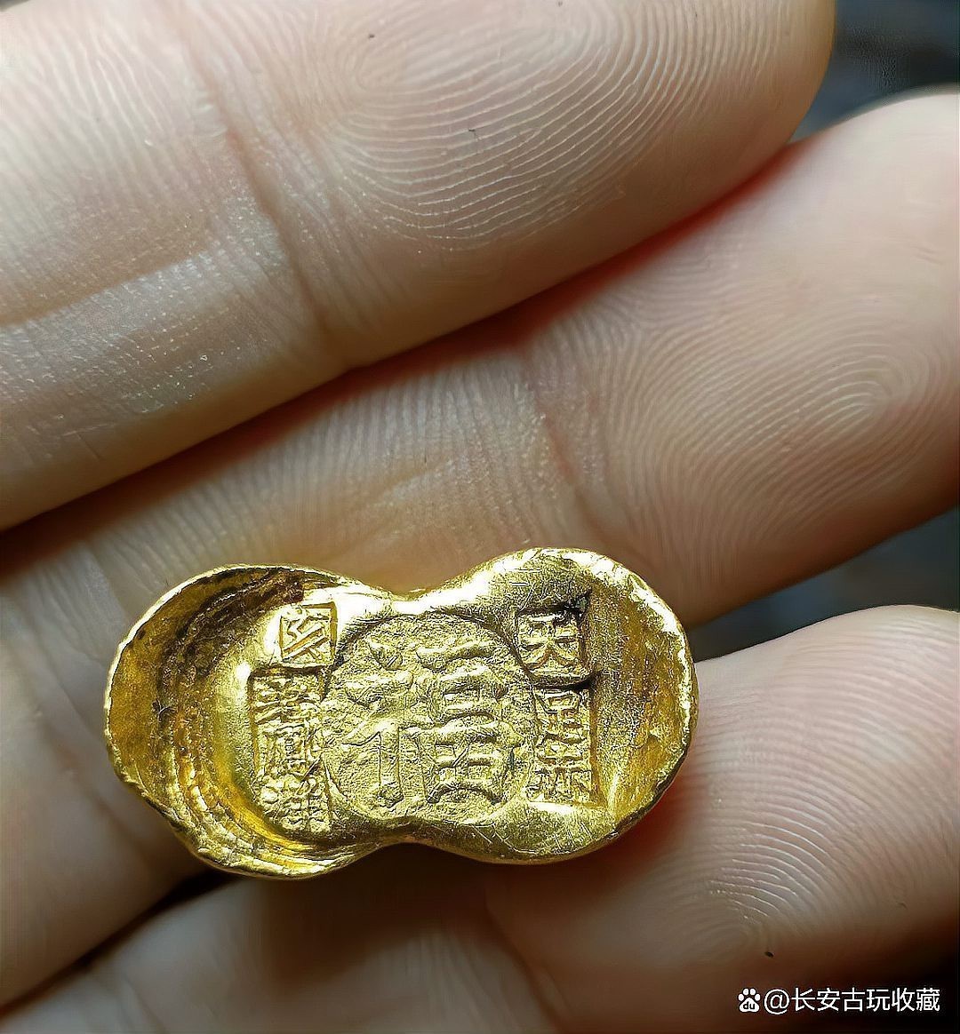 鳳凰元寶是什么顏色，“鳳凰元寶”顏色特征分析：902“金鳳朝陽”