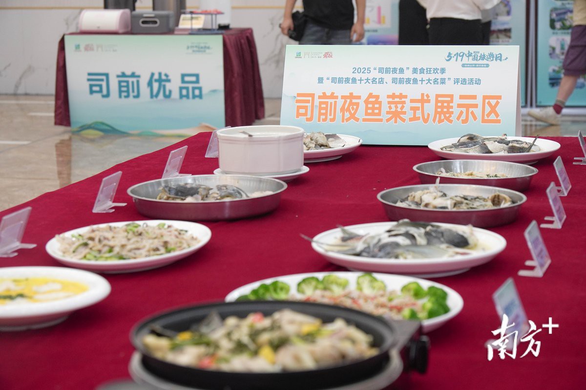 新會龍魚店，新會司前夜魚美食狂歡季啟幕南方plus司前夜魚美食狂歡季啟幕