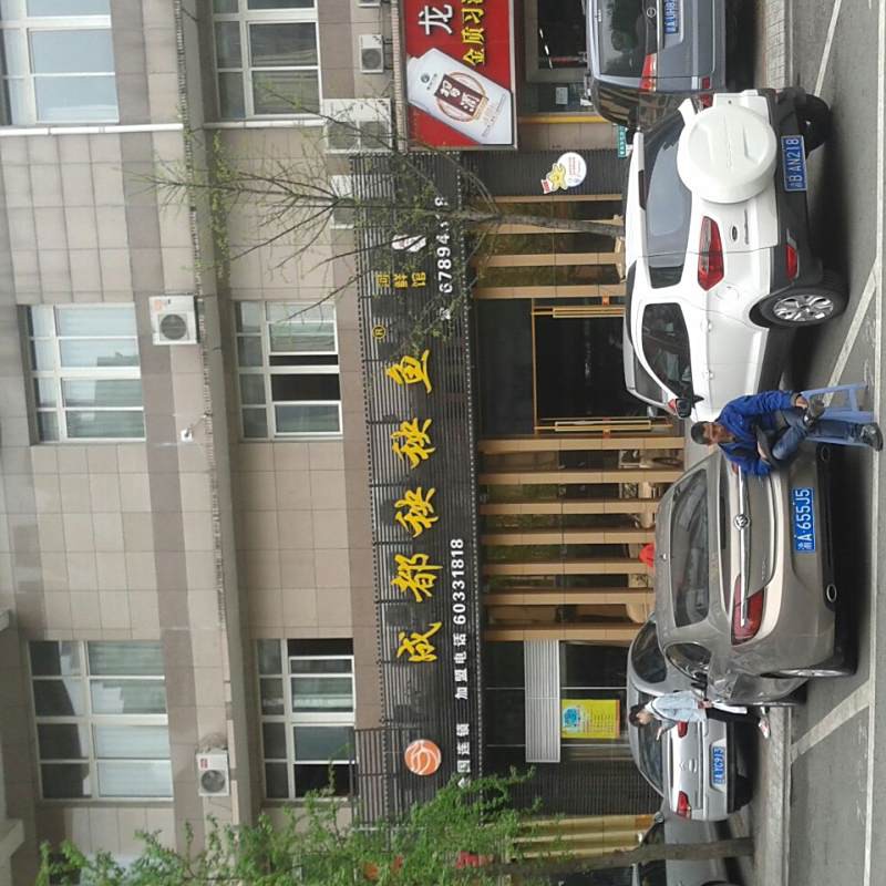 沿灘龍魚店，四川沿灘區著名的龍魚店有哪些著名的龍魚店有哪些